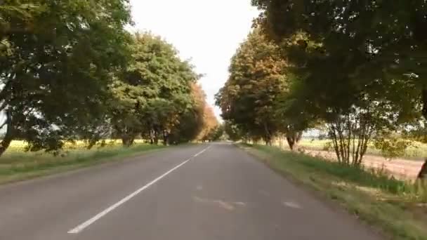 El coche está conduciendo en la autopista — Vídeos de Stock