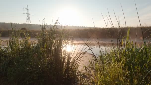 River Fog Sunshine — Stock video