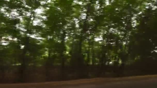 Homályos fák mozgás a kocsiból — Stock videók