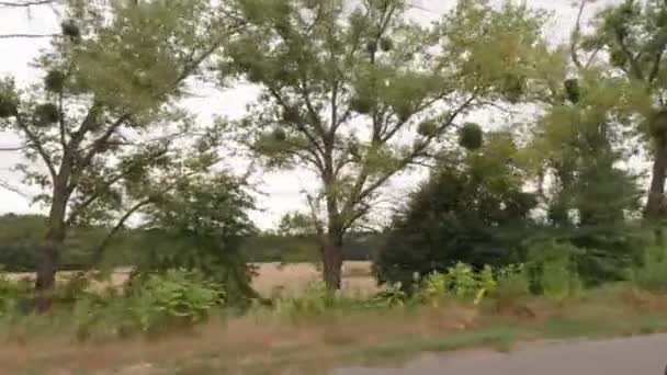 Vista dalla finestra dell'auto fuori città — Video Stock