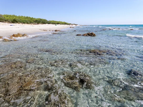 Bidda Rosa beach Itálie Sardinie — Stock fotografie