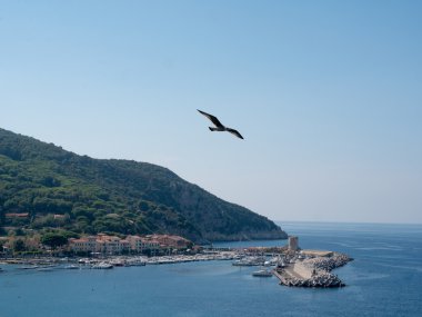Landscape of Elba Island Tuscany Italy clipart