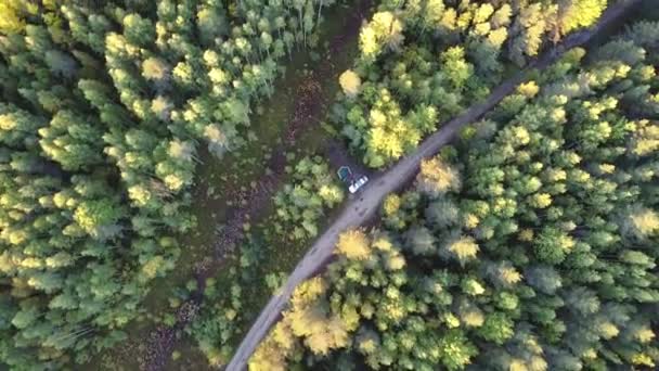 A disparar de um drone. voo sobre a floresta mista de outono — Vídeo de Stock