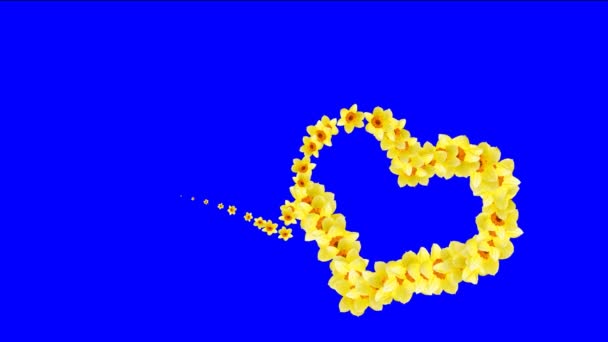 Serca nagrania z chroma key. Nagrania wideo ślub. Wideo tło z animowane serca. Animowane tła nagrania filmów lub karty z pozdrowieniami. Wideo tło dla miłośników lub prezentacji. — Wideo stockowe