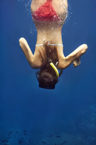 Plongée femme dans la mer tropicale — Photo