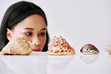 Güzel Afrikalı Amerikalı kadın beyaz arka planda farklı deniz kabuklarına bakıyor..