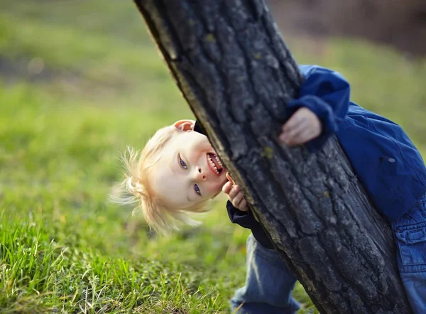 Liten pojke i park — Stockfoto