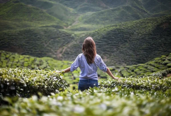 Glückliche Frau auf Teeplantage — Stockfoto
