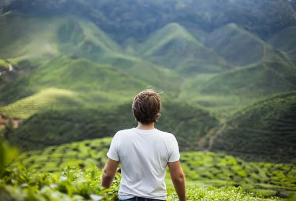 Junger Mann auf Teeplantage — Stockfoto