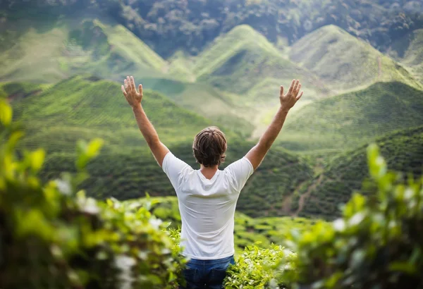 Jeune homme sur la plantation de thé — Photo