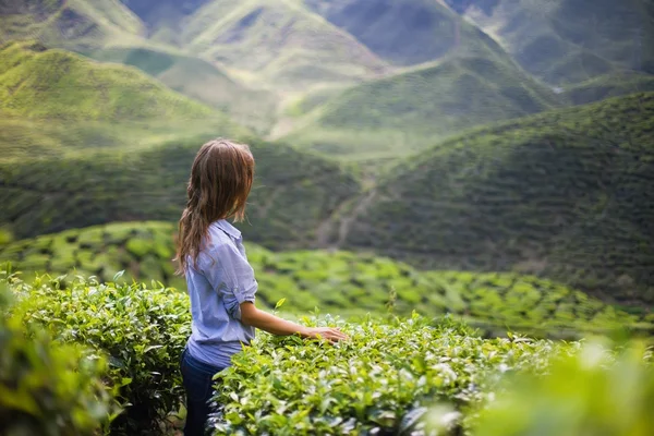 Glückliche Frau auf Teeplantage — Stockfoto