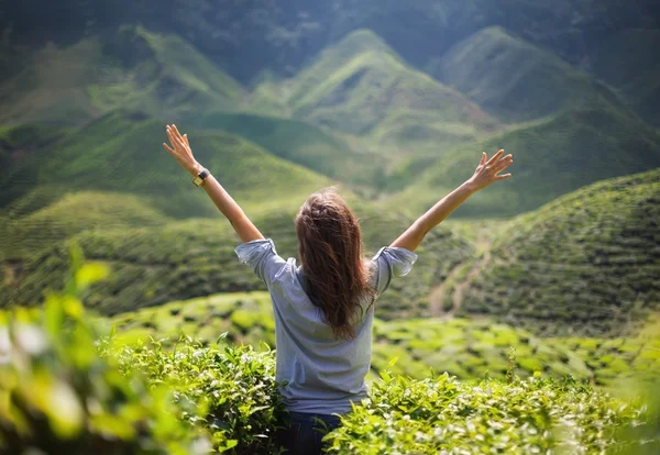 Mujer con brazos abiertos en plantación de té — Foto de Stock