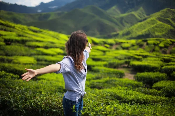 Mujer con brazos abiertos en plantación de té — Foto de Stock