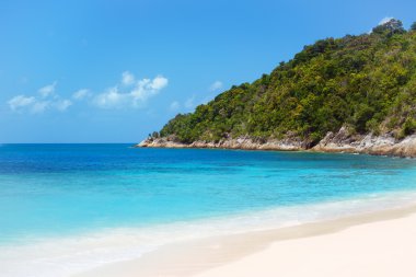 Tropik plaj ve deniz