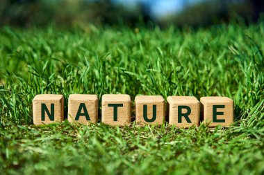 Wooden cube blocks with multicolor NATURE text on fresh green grass in sunlight
