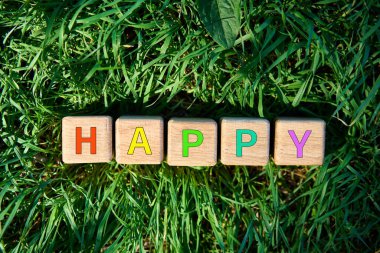 Wooden cube blocks with multicolor HAPPY text on fresh green grass in sunlight