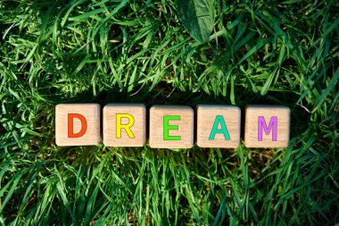 Çok renkli DREAM metni olan ahşap küplerin üst görünümü güneş ışığında taze yeşil çimenler üzerine