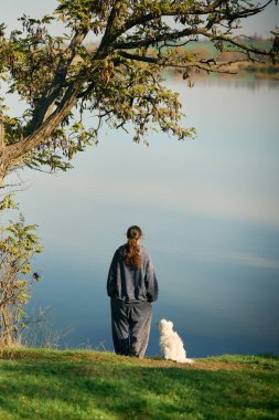 Küçük beyaz köpekli genç bir kadının arka görüntüsü sakin gölün ve sonbahar manzarasının tadını çıkar çimenli tepenin üzerinde duruyor.