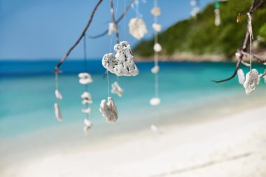 ağaç üzerinde tropikal plaj