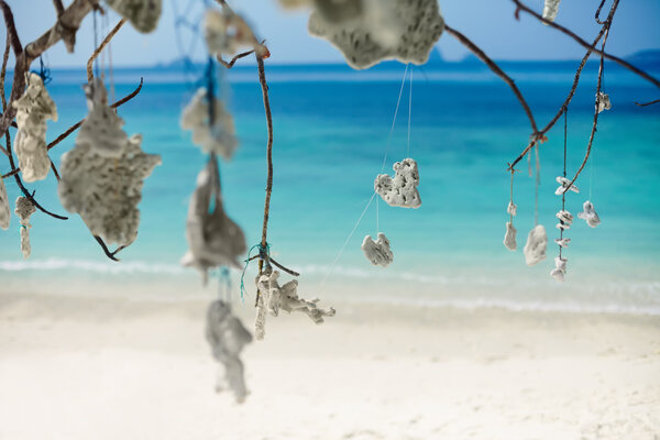 tree over tropical beach