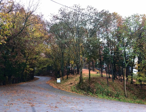 Colorful Fallen Leaves Scattered Winding Road Arkansas Autumn — Stock Photo, Image