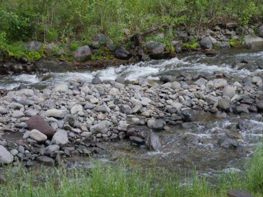 Soshone Nehri 'nin kayalık yatağı Wyoming' deki North Fork Otoyolu boyunca akıyor..