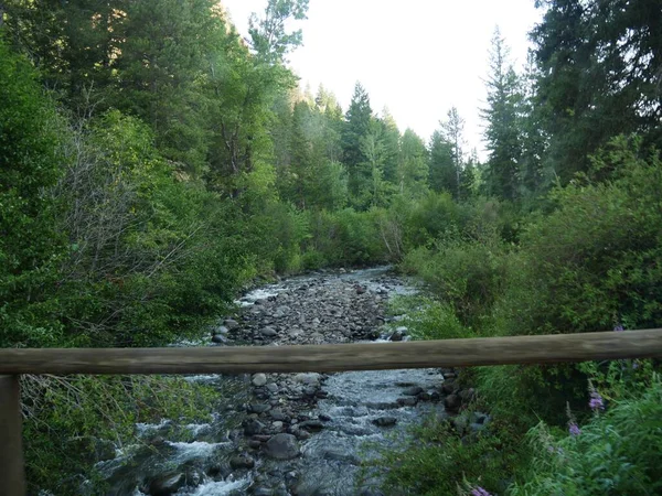 Eaux Fraîches Rivière Soshone Coulant Long North Fork Highway Dans — Photo