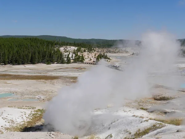 Norris Geyser Yellowstone Nemzeti Park Fekete Morgó Szellőzőnyílásából Kiömlő Forró — Stock Fotó