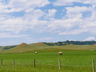 Yuvarlanan tepeler ve Wyoming, ABD 'de saman ruloları olan yeşil çiftlikler...