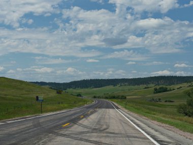 Asfalt yolda lastik izleri olan Wyoming manzarası .