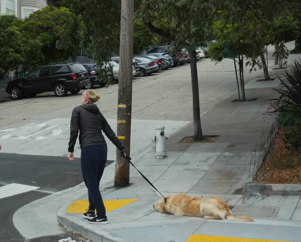 San Francisco California July 2018 Woman Pulls Leash Dog Who — Stock Photo, Image