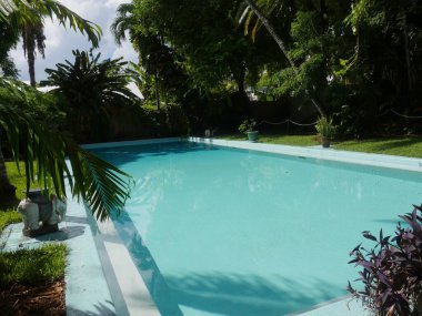 Etrafında kristal berrak sular ve ağaçlarla yüzme havuzu