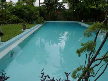 Suya yansıyan ağaçlarla dolu yüzme havuzu 