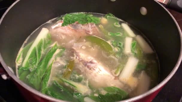 Zbliżenie, ręczne ujęcie gotującego się garnka zupy wołowej i warzyw — Wideo stockowe
