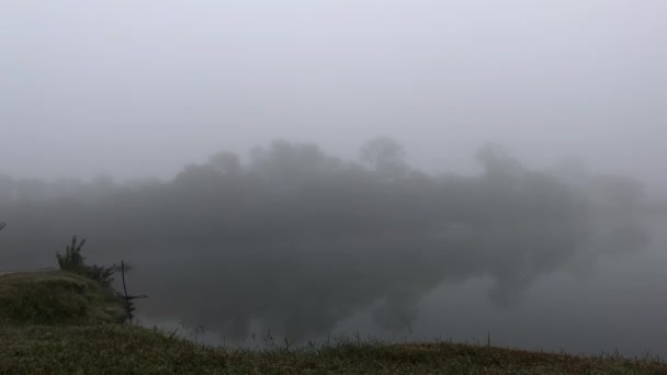 Steady shot of a pond with trees reflected in the water on a misty, foggy morning — Stock Video