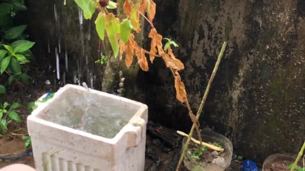 Water uit de regen dat in een piepschuimcontainer valt — Stockvideo