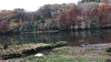 Sonbaharın güzel renkleri Mountain Fork Nehri, Beavers Bend, Oklahoma sularına yansıyor..