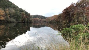 Sonbahar renkleri Mountain Fork Nehri, Beavers Bend State Park, Oklahoma sularına yansıyor..