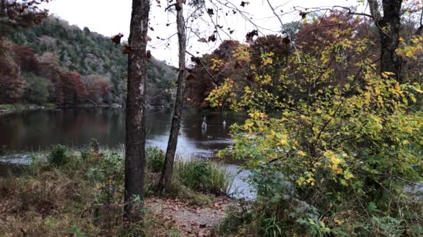 Flödesvatten i Fjällgaffelälven med oigenkännliga män som fiskar. Beavers Bend State Park, Oklahoma. — Stockvideo