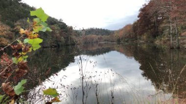 Sonbaharda suya yansıyan renkli ağaçlarla Dağ Çatalı Nehri.