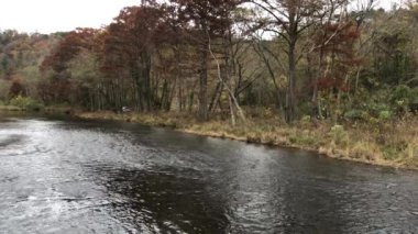 Sonbaharda Mountain Fork Nehri 'nin bir tarafından düzenli çekim. Kunduzlar Viraj Parkı, Oklahoma.