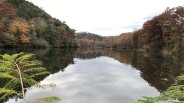 Sonbaharın renkli ağaçlarının sulara yansıdığı Mountain Fork Nehri 'nin sabit görüntüsü. Kunduzlar Viraj Parkı, Oklahoma.