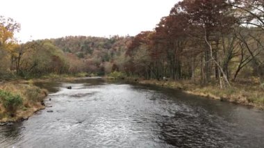 Mount Fork Nehri 'nin kıyılarında sonbaharın renkli ağaçlarıyla sabit bir çekim. Kunduzlar Viraj Parkı, Oklahoma.