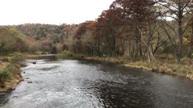 Beavers Bend State Park, Oklahoma 'da sonbaharın renkli ağaçlarıyla Mountain Fork Nehri' nin akan suları..