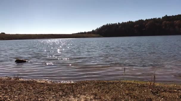 Třpytivé Vody Jezera Wallace Státním Parku Loupežníků — Stock video