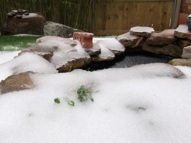 新落下来的雪覆盖了地面和一个小的后院池塘 — 图库视频影像