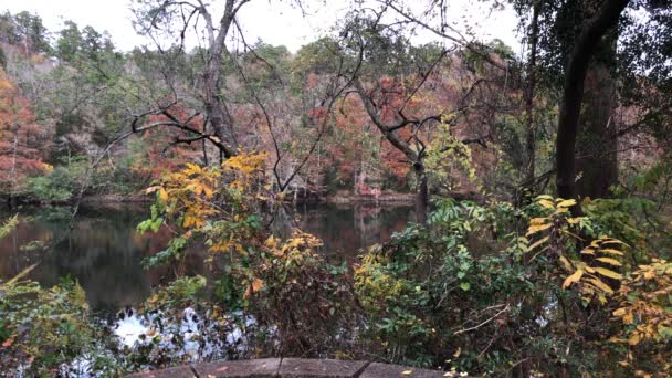 Dech beroucí listí a podzimní barvy na řece Mountain Fork. Beavers Bend State Park, Oklahoma. — Stock video