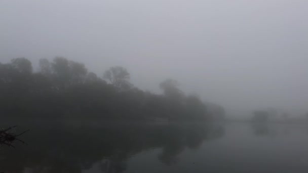 Trees Reflected Water Lake Misty Foggy Morning — Stock Video