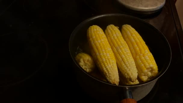 Желтая Кукуруза Початке Парящейся Маленьком Чайнике — стоковое видео