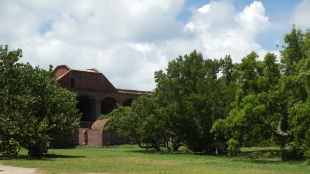 Stały Widok Fortu Jefferson Otoczonego Drzewami Park Narodowy Dry Tortugas — Wideo stockowe